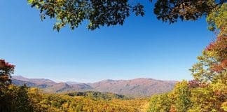 Fall Foliage | I-75 Exit Guide