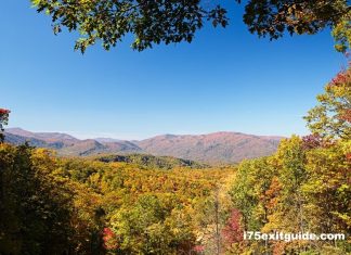 Fall Foliage | I-75 Exit Guide