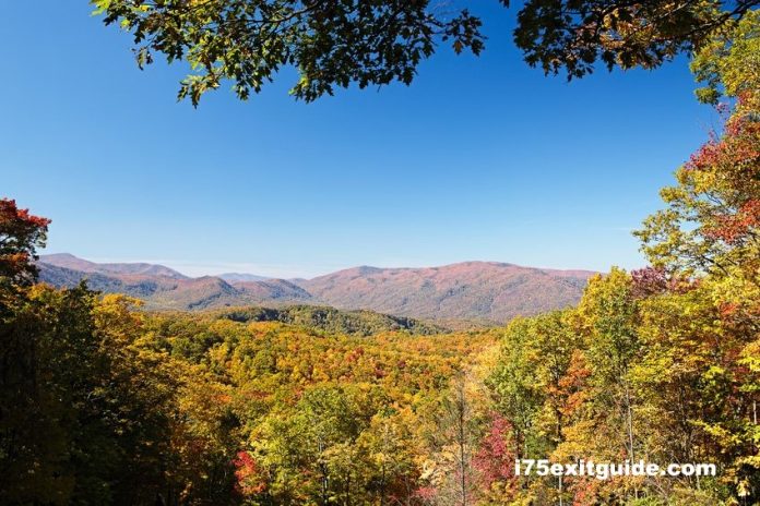 Fall Foliage | I-75 Exit Guide