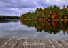 Michigan Fall Foliage | I-75 Exit Guide