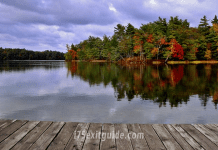 Michigan Fall Foliage | I-75 Exit Guide