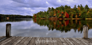 Michigan Fall Foliage | I-75 Exit Guide