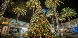 Miami Beach Christmas | I-75 Exit Guide