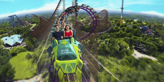 Iron Gwazi To Open March 2022 At Busch Gardens Tampa Bay