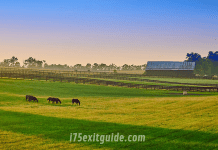 Lexington, Kentucky | I-75 Exit Guide