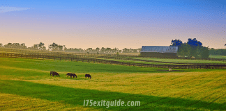 Lexington, Kentucky | I-75 Exit Guide