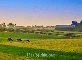 Lexington, Kentucky | I-75 Exit Guide