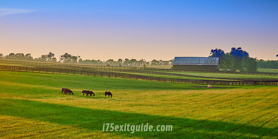 Lexington, Kentucky | I-75 Exit Guide