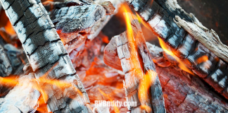 caladesi-rv-park-–-palm-harbor,-fl