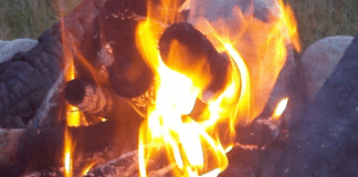 fort-myers-beach-rv-resort-–-fort-myers,-fl