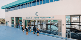 Clearwater Marine Aquarium | I-75 Exit Guide