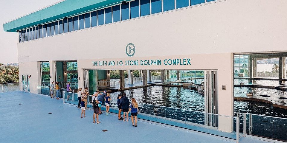 Clearwater Marine Aquarium | I-75 Exit Guide