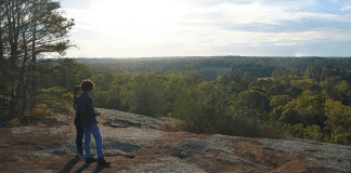 Henry County, Georgia | I-75 Exit Guide