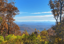 Dawsonville, Georgia | I-75 Exit Guide