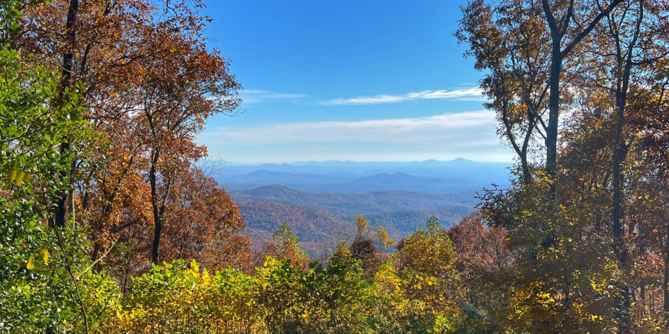 Dawsonville, Georgia | I-75 Exit Guide