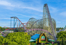 Busch Gardens Tampa Bay | I-75 Exit Guide