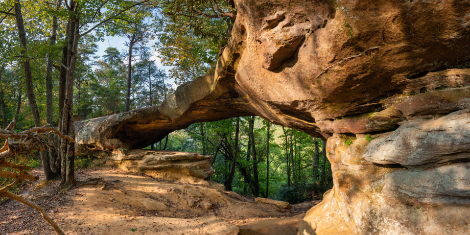 Princess Arch | I-75 Exit Guide