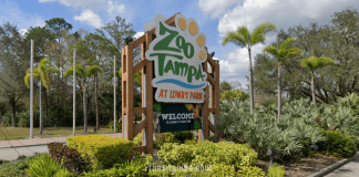 ZooTampa at Lowry Park | I-75 Exit Guide