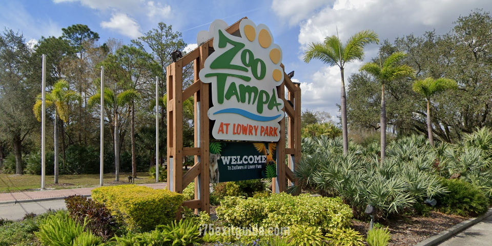 ZooTampa at Lowry Park | I-75 Exit Guide