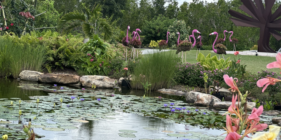 Peace River Botanical & Sculpture Gardens | I-75 Exit Guide