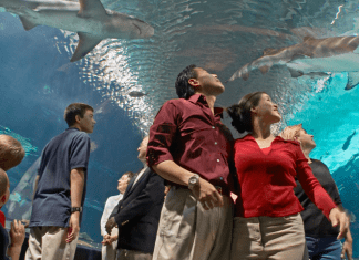 Newport Aquarium | I-75 Exit Guide