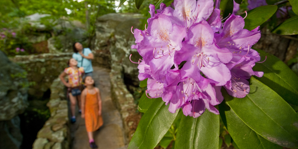 Rock City Gardens | I-75 Exit Guide