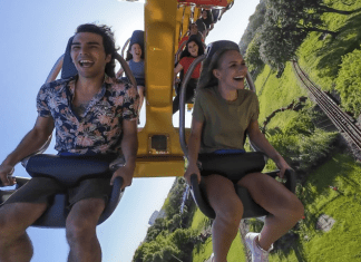 Busch Gardens Tampa Bay | I-75 Exit Guide