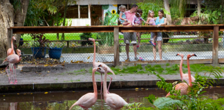 Wonder Gardens - Bonita Springs, Florida | I-75 Exit Guide