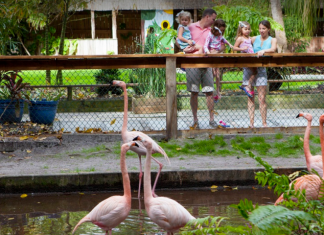Wonder Gardens - Bonita Springs, Florida | I-75 Exit Guide