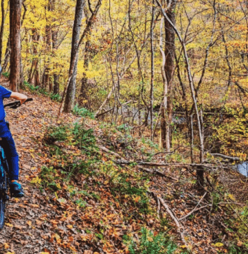 Woodstock, Georgia Biking Trails | I-75 Exit Guide