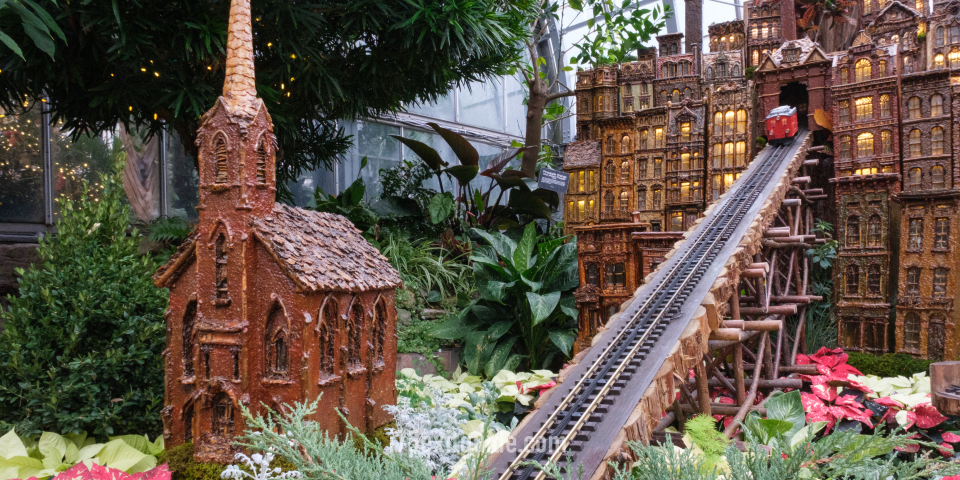 Krohn Conservatory | I-75 Exit Guide