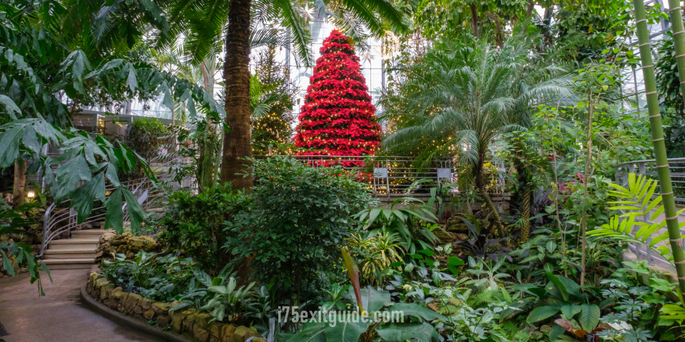Krohn Conservatory | I-75 Exit Guide