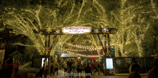 Busch Gardens Parks Shine Bright with Millions of Lights, New Holiday Entertainment Busch Gardens | I-75 Exit Guide